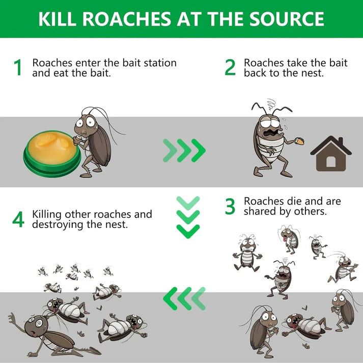 KillRoach™ Gel – Instant Cockroach Killer (Buy 1 Get 1 Free)