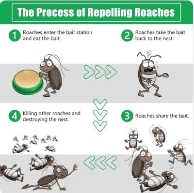 KillRoach™ Gel – Instant Cockroach Killer (Buy 1 Get 1 Free)