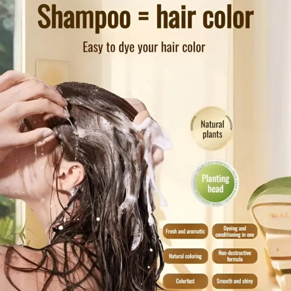 Ayurvedic Natural Hair Dye Shampoo (Buy 1 Get 1 Free)