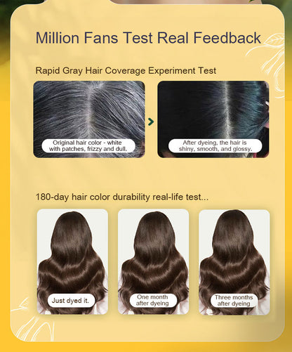 Ayurvedic Natural Hair Dye Shampoo (Buy 1 Get 1 Free)