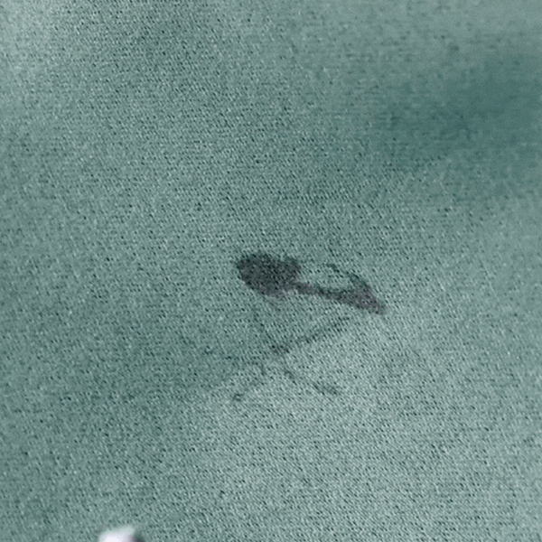 All in One Fabric Stain Remover 100ml (Pack of 2 Bottle)